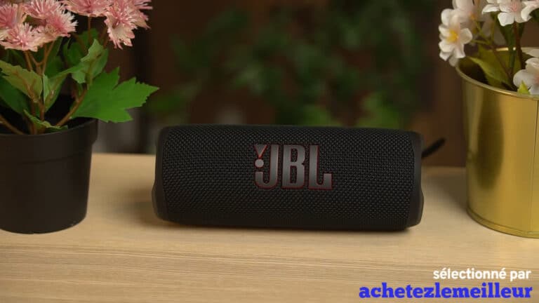 JBL Flip 6