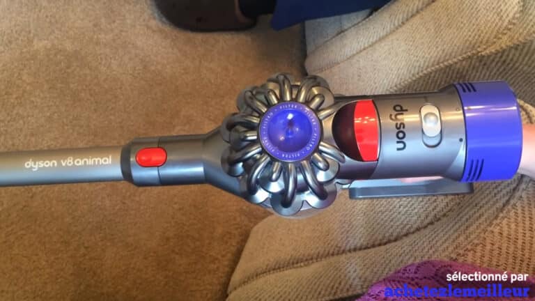 Dyson V8-Animal