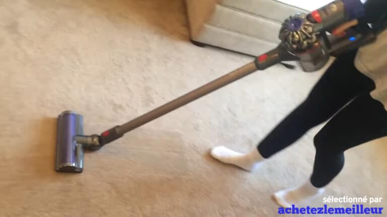 Dyson V8 Animal