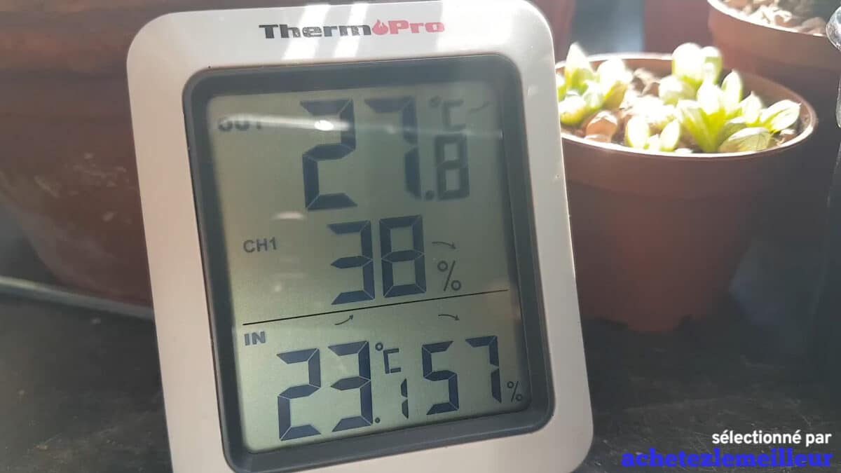 ThermoPro TP60 