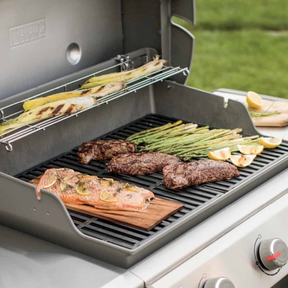 Le meilleur barbecue au gaz au Canada en 2023 Comparatif, guide et avis — free download