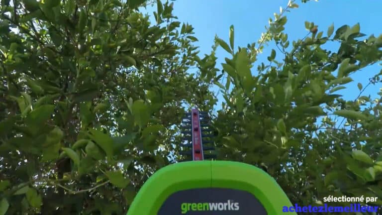 GreenWorks 22102 - Taille Haies