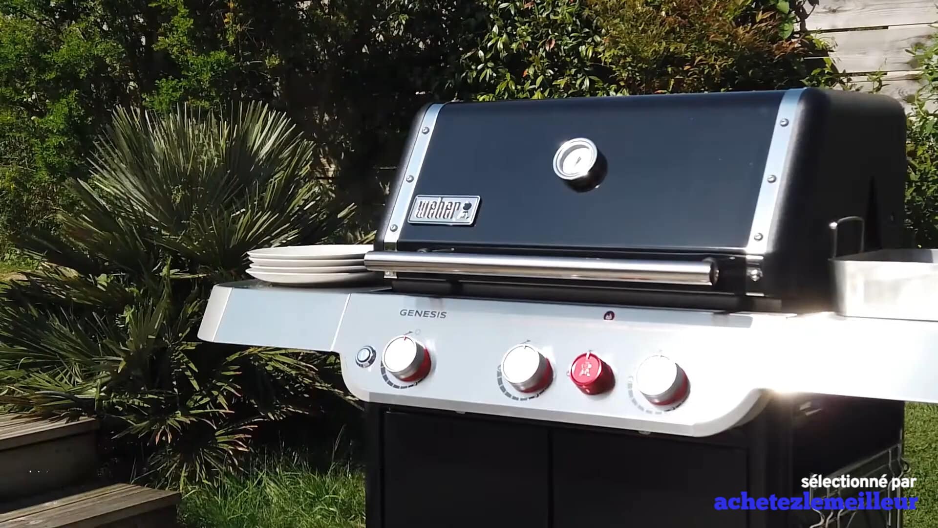 Weber-Genesis-E-325S-Image-1