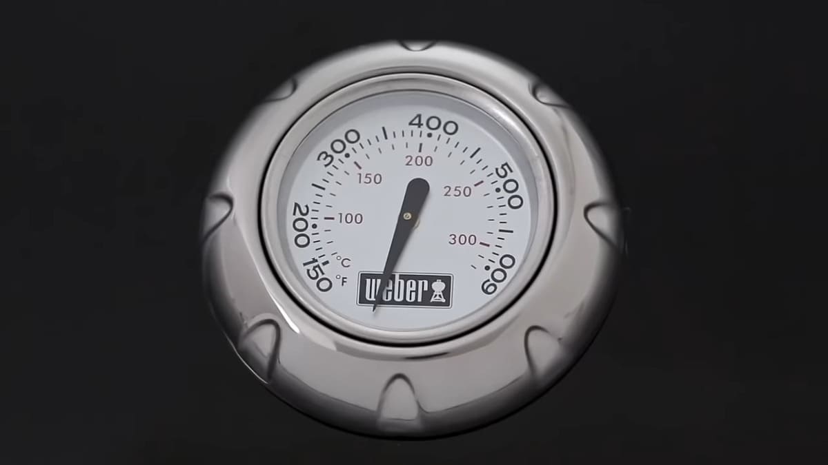 Weber Spirit II E-210 - test achetezlemeilleur