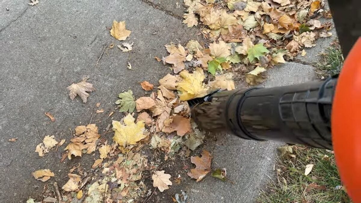 souffleur à feuilles BLACK+DECKER BEBL7000-CA - test achetezlemeilleur