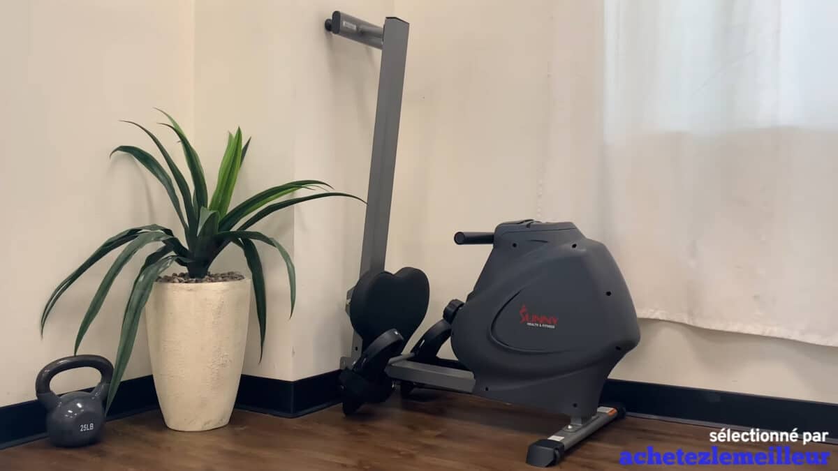 Sunny Health & Fitness SF RW5801