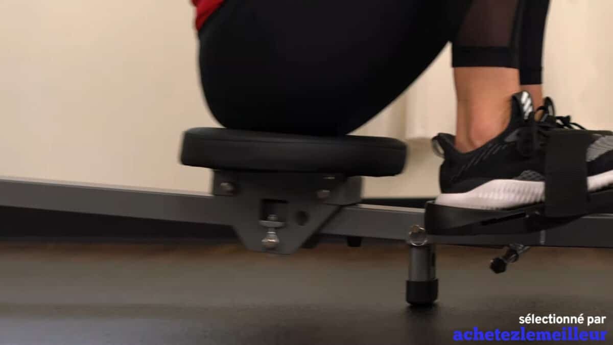 Sunny Health _ Fitness SF-RW5801