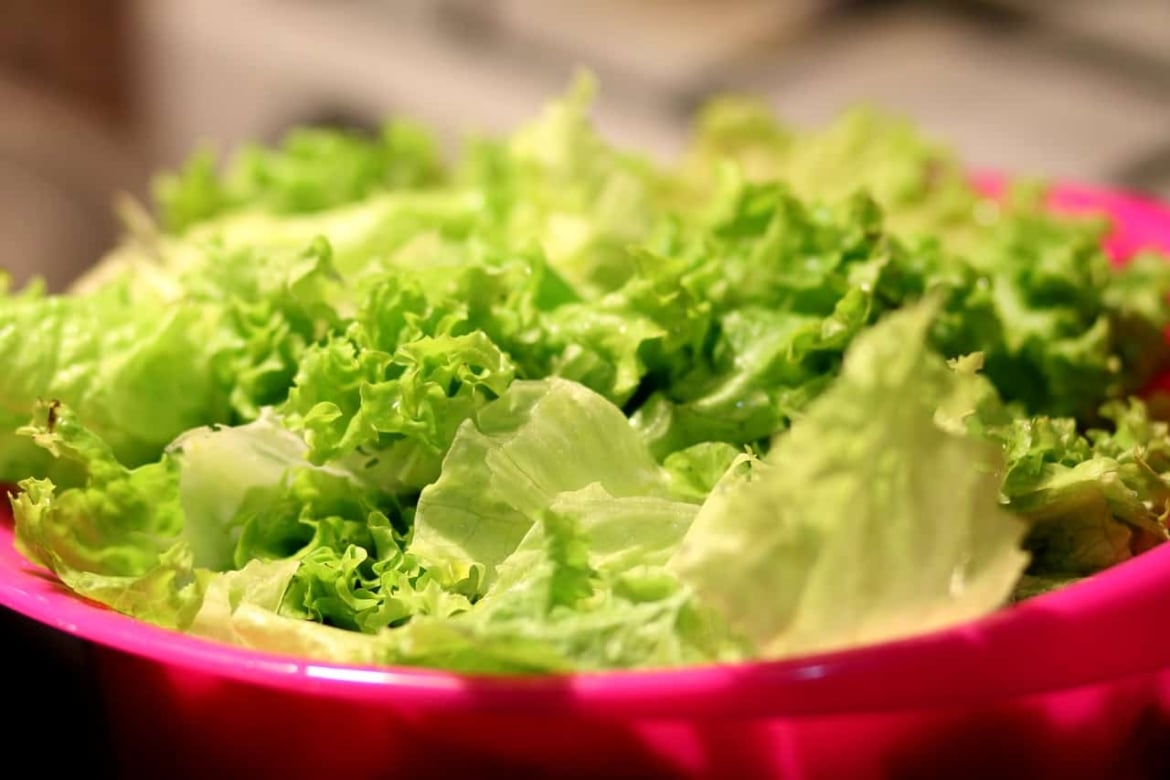 laitue romaine - salade César