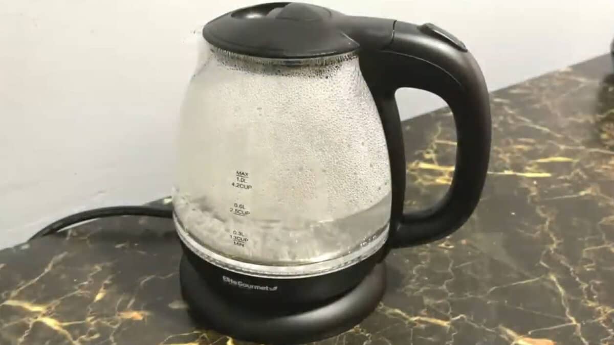 Elite-Gourmet - EKT1001