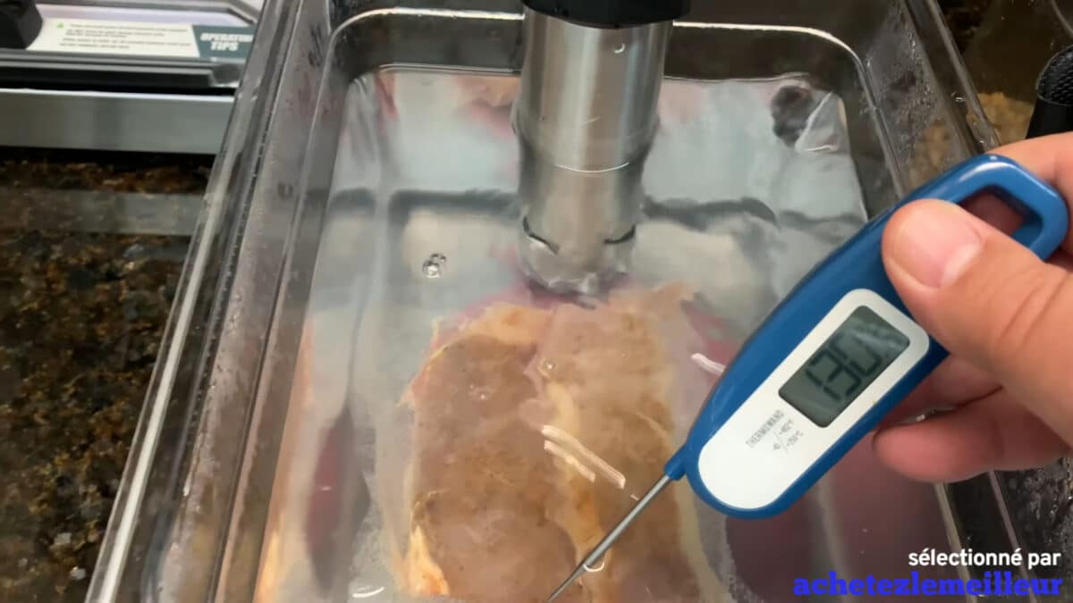 Inkbird ISV 100W