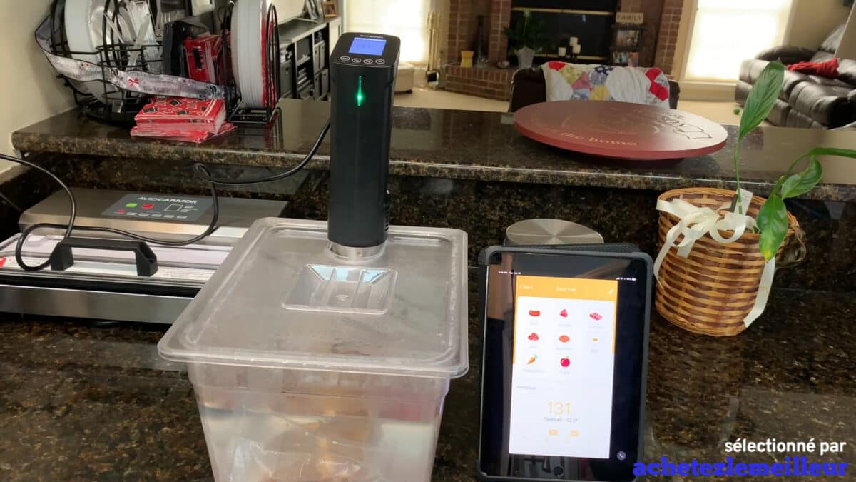 Inkbird - ISV-100W