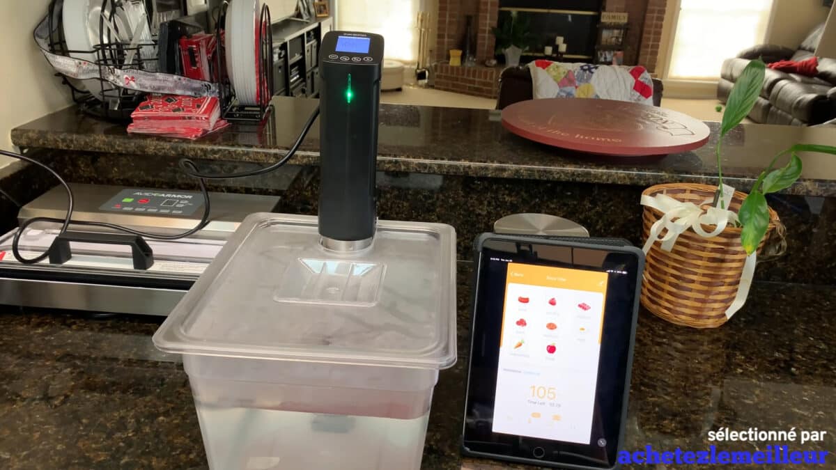Inkbird ISV-100W