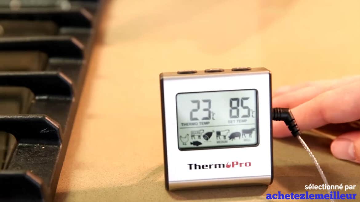 thermo pro tp16