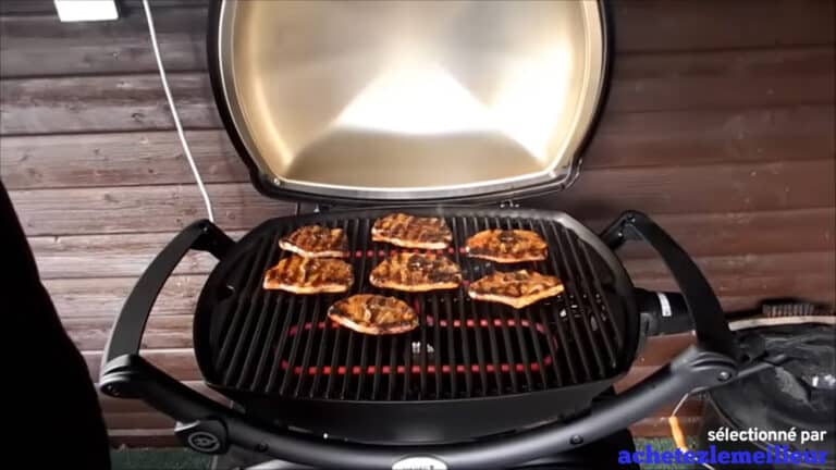 Weber Q2400 - Barbecue Grill Electrique