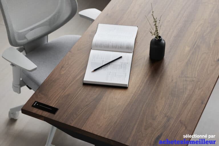 Ergonofis Sway Noyer