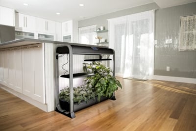 AeroGarden Farm 24Plus_1