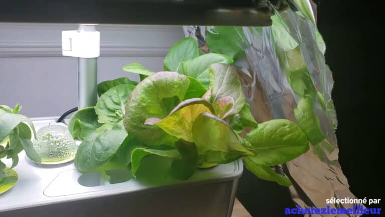 AeroGarden Harvest Elite - Jardin hydroponique