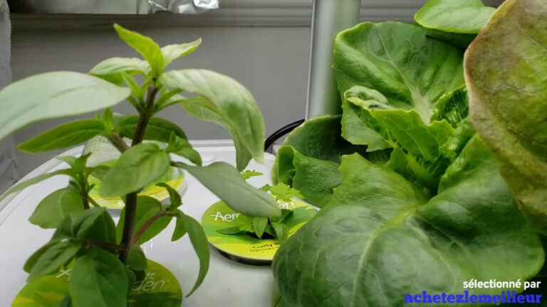 AeroGarden Harvest Elite - Jardin hydroponique