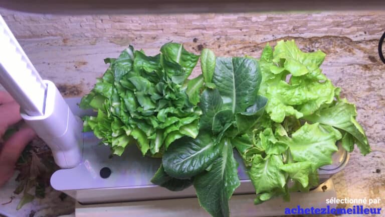 AeroGarden Sprout - Jardin Hydroponique