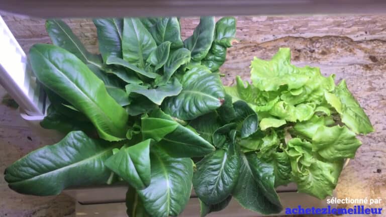 AeroGarden Sprout - Jardin Hydroponique