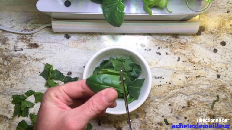 AeroGarden Sprout - Jardin Hydroponique