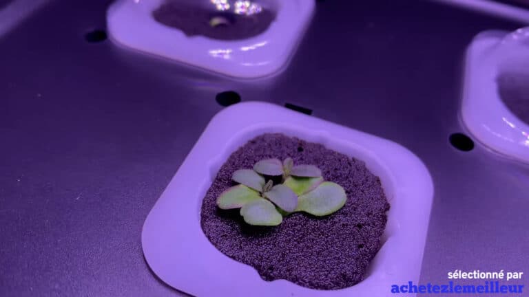 Jardin hydroponique IDOO 7 IG201 
