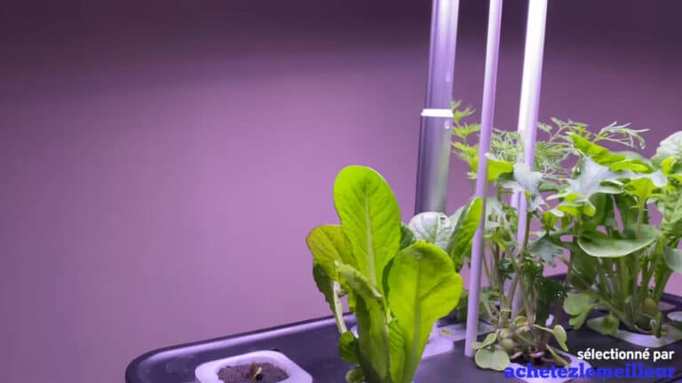 Jardin hydroponique IDOO 7 IG201 
