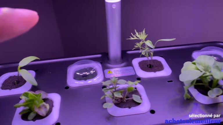Jardin hydroponique IDOO 7 IG201 