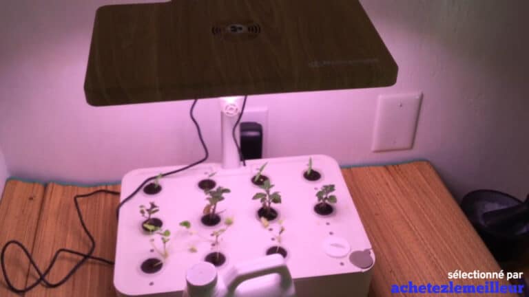 Moistenland Hydroponic System - Jardin hydroponique