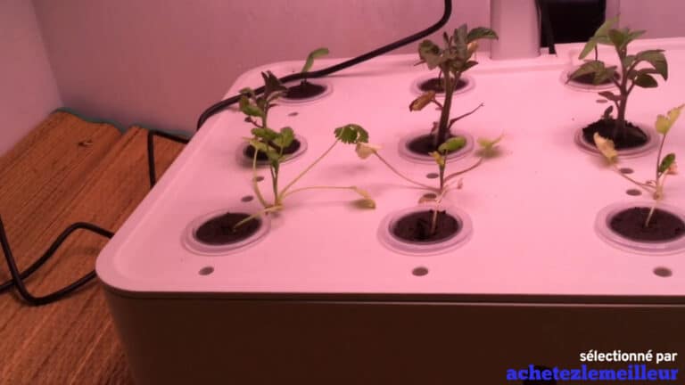Moistenland Hydroponic System - Jardin hydroponique