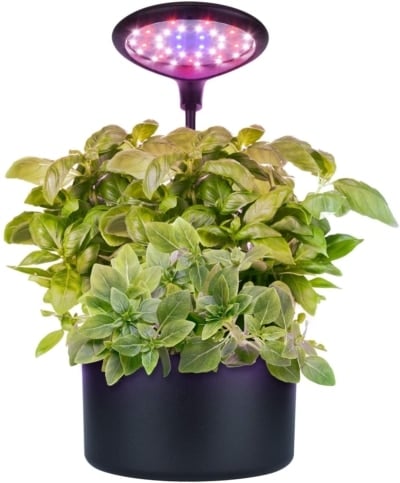 kit de jardin intérieur Moistenland