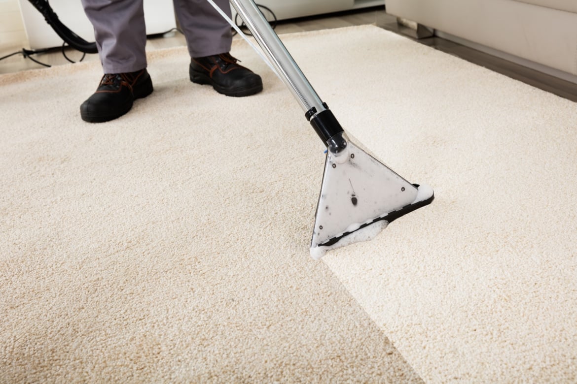 Shampouineuse de tapis