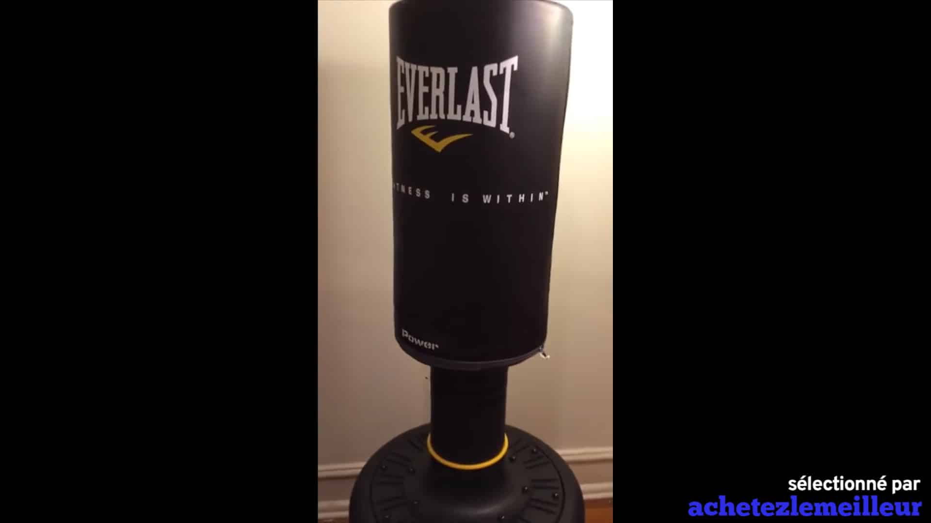 Sac De Frappe Everlast Suspendu, Non Rempli, Neuf, Boxe