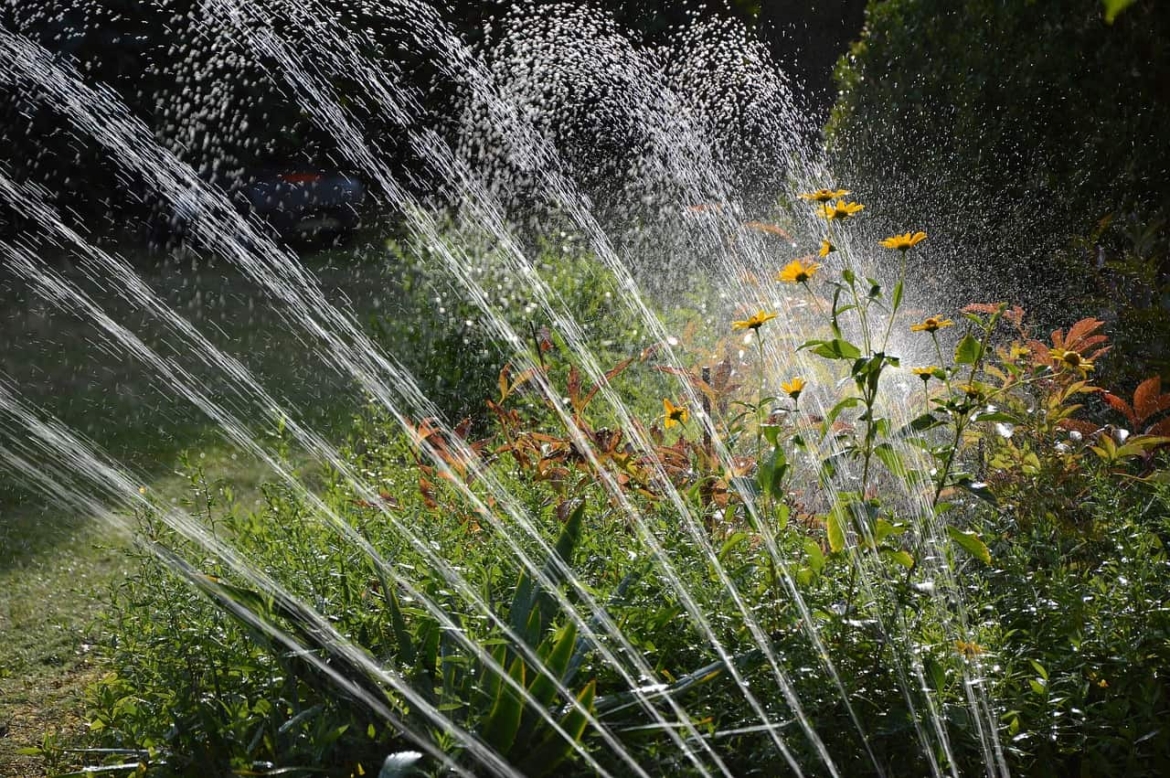 Jardin - Pompe