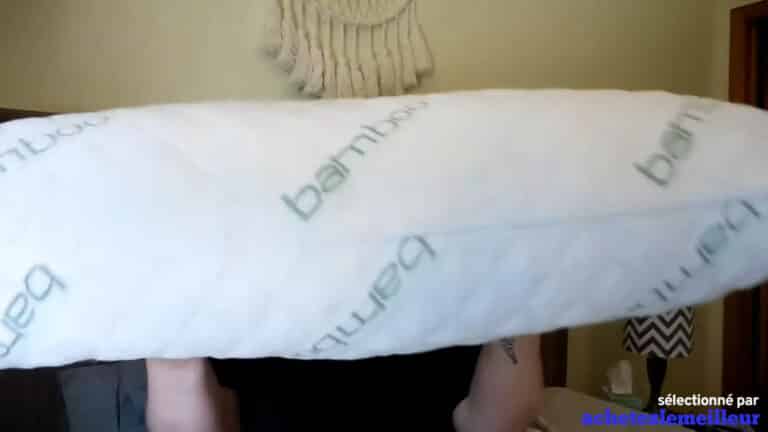 Ik - Sleepsia Bamboo-Shredded Memory Foam Pillow