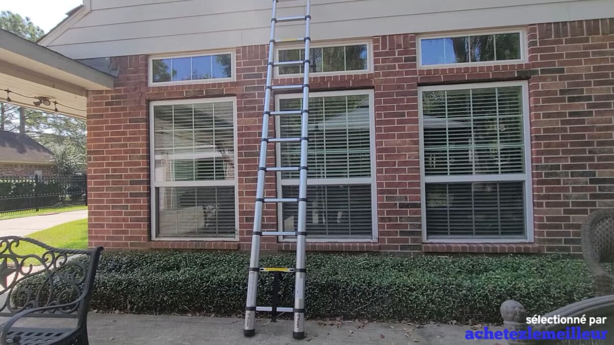 Yvan Telescoping Ladder
