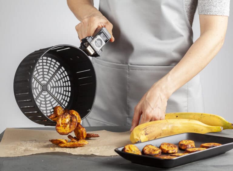 Friteuse sans huile