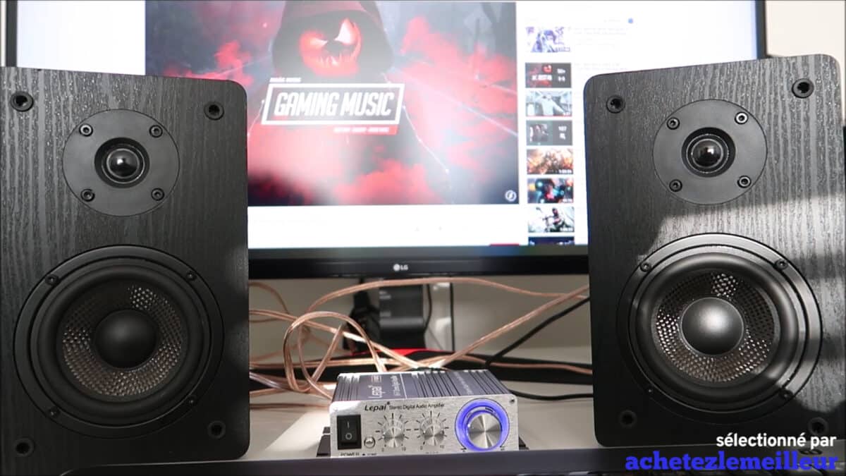 haut parleur Micca MB42X