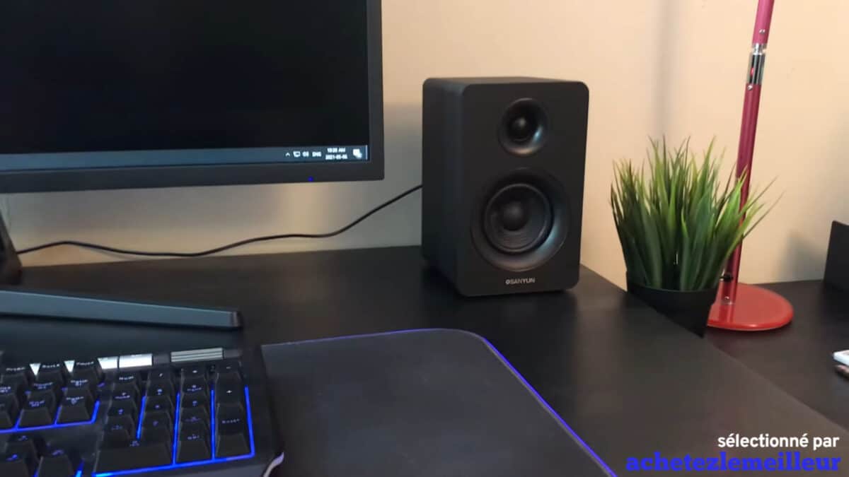 Sanyun SW208