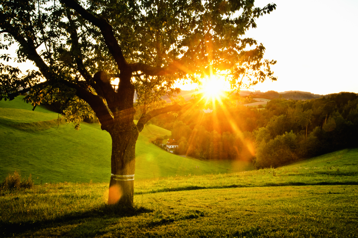 Photographie de stock - Image