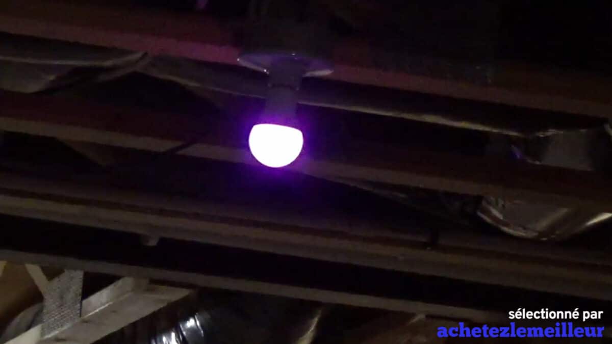 Peteme - Smart Led