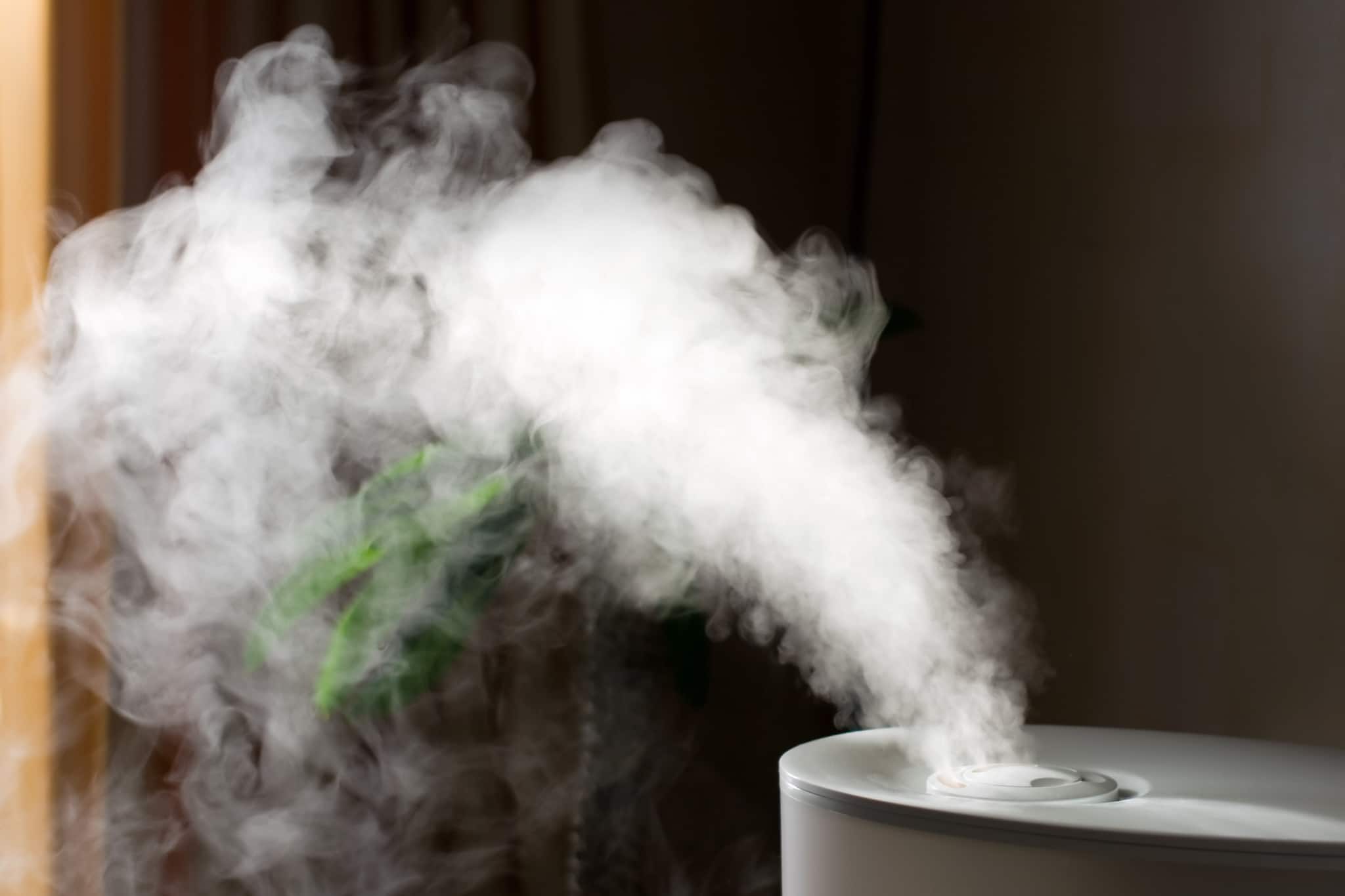 Comment fonctionne un humidificateur d'air