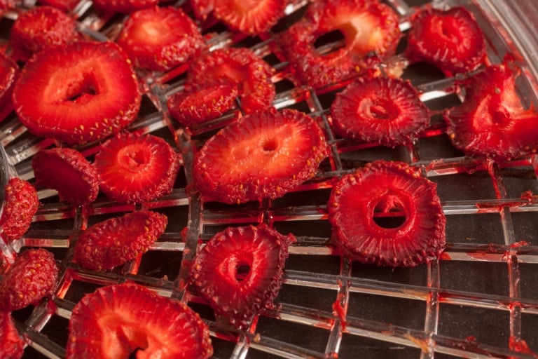 Comment fonctionne un déshydrateur alimentaire 