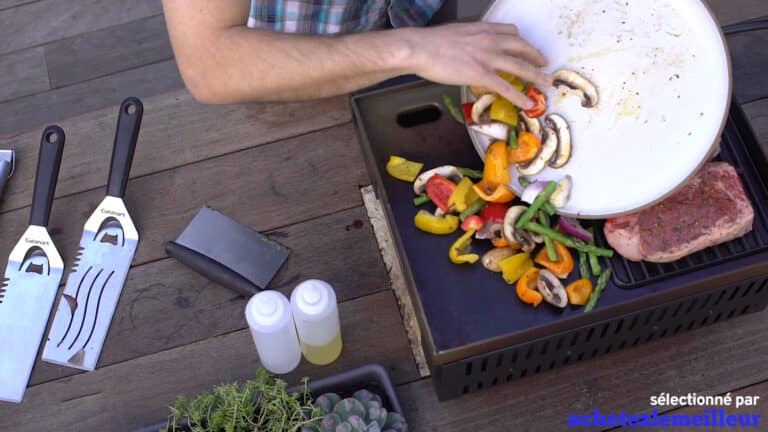 Cuisinart CGG-501 - Plancha Gaz