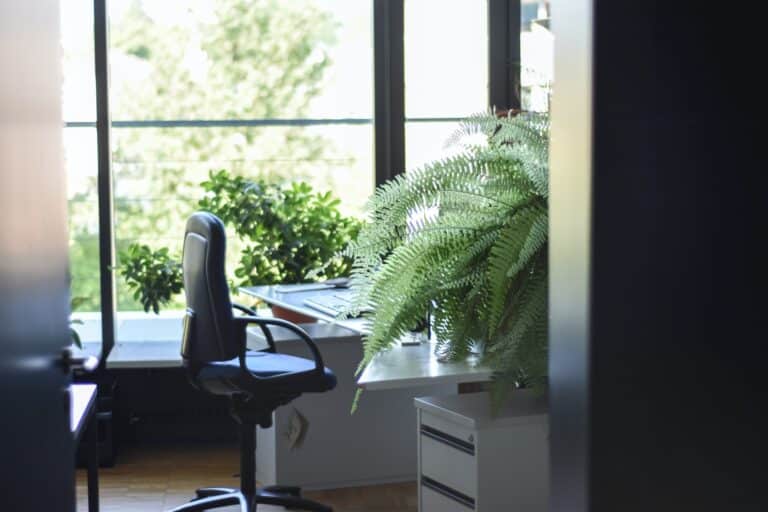 Chaise de bureau