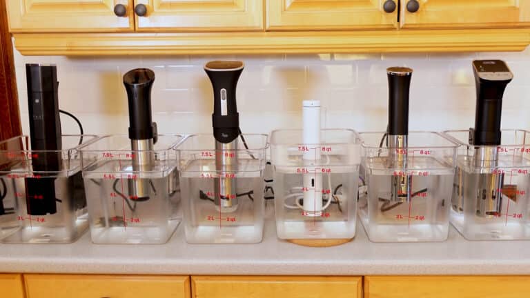 cuiseur sous vide tests comparaison