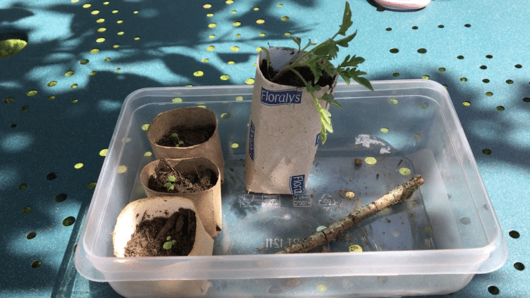 rouleau de papier toilette en pot