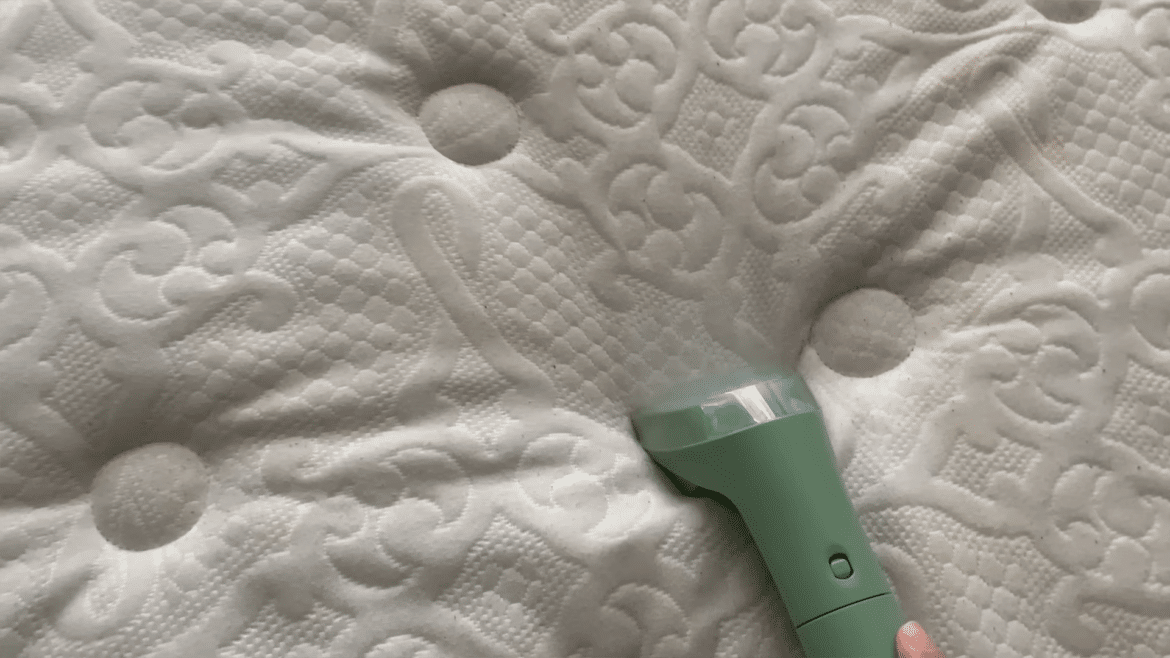 nettoyage matelas bissell