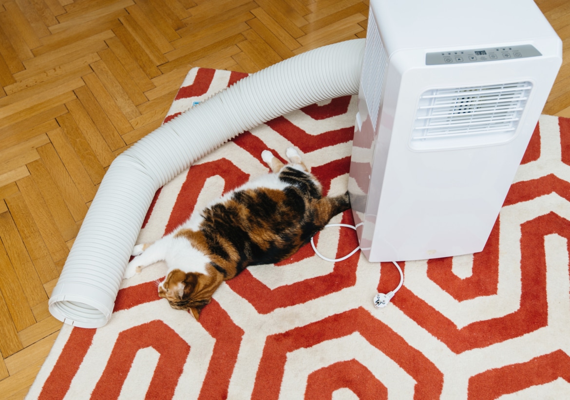 Climatiseur mobile 
