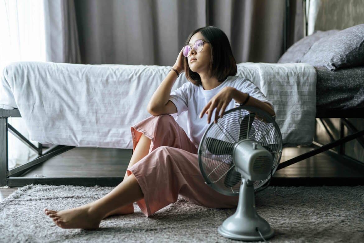 ventilateur ou climatiseur portatif